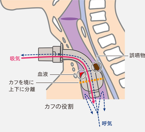 イメージ画像