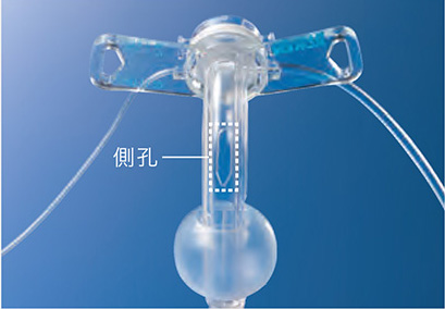 イメージ画像