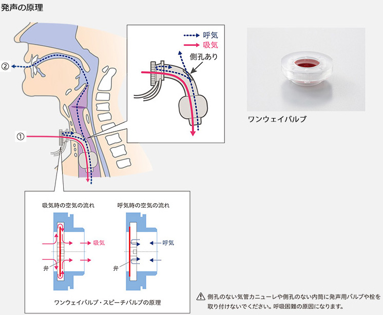 発声の原理